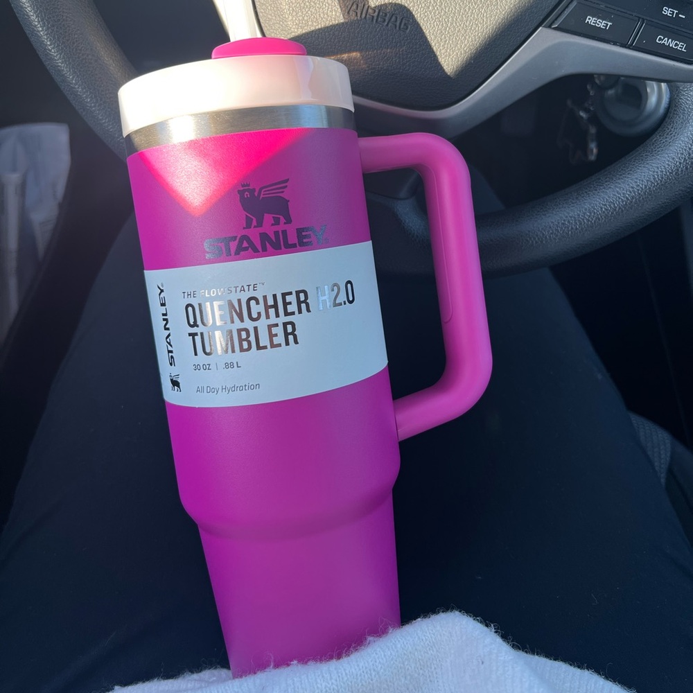 30oz stanley FUSCIA